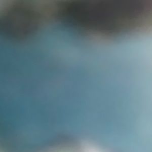 Meet your Posher, Joy